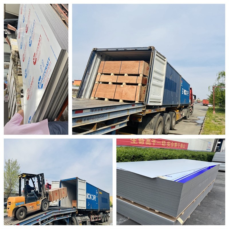 product-800-800
